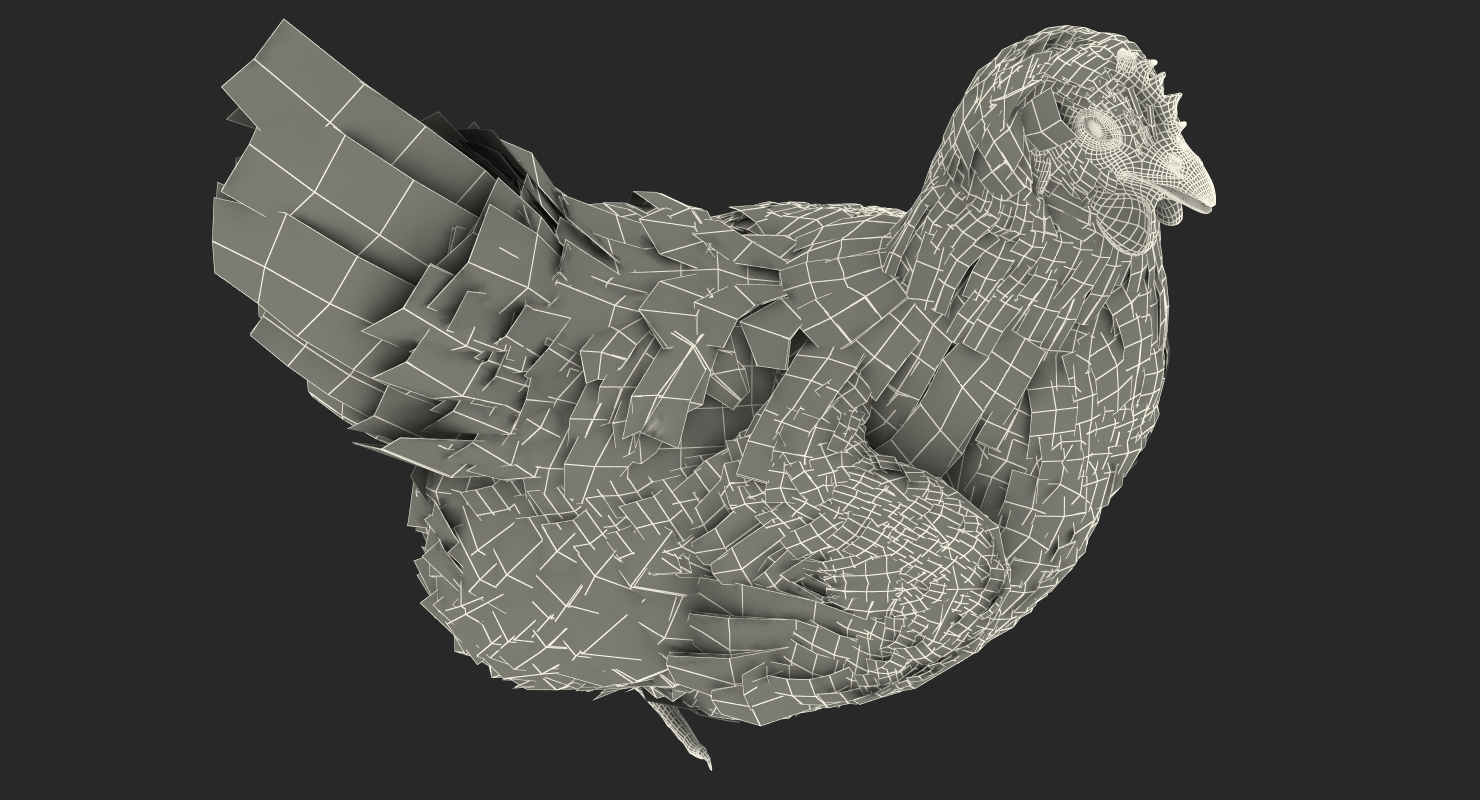 3D White Chicken Sitting Pose