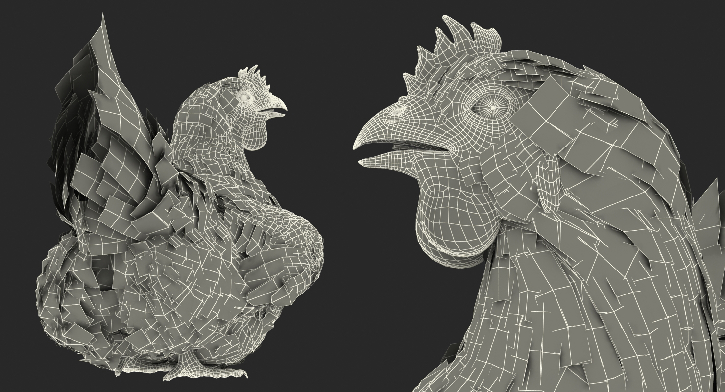 3D White Chicken Sitting Pose