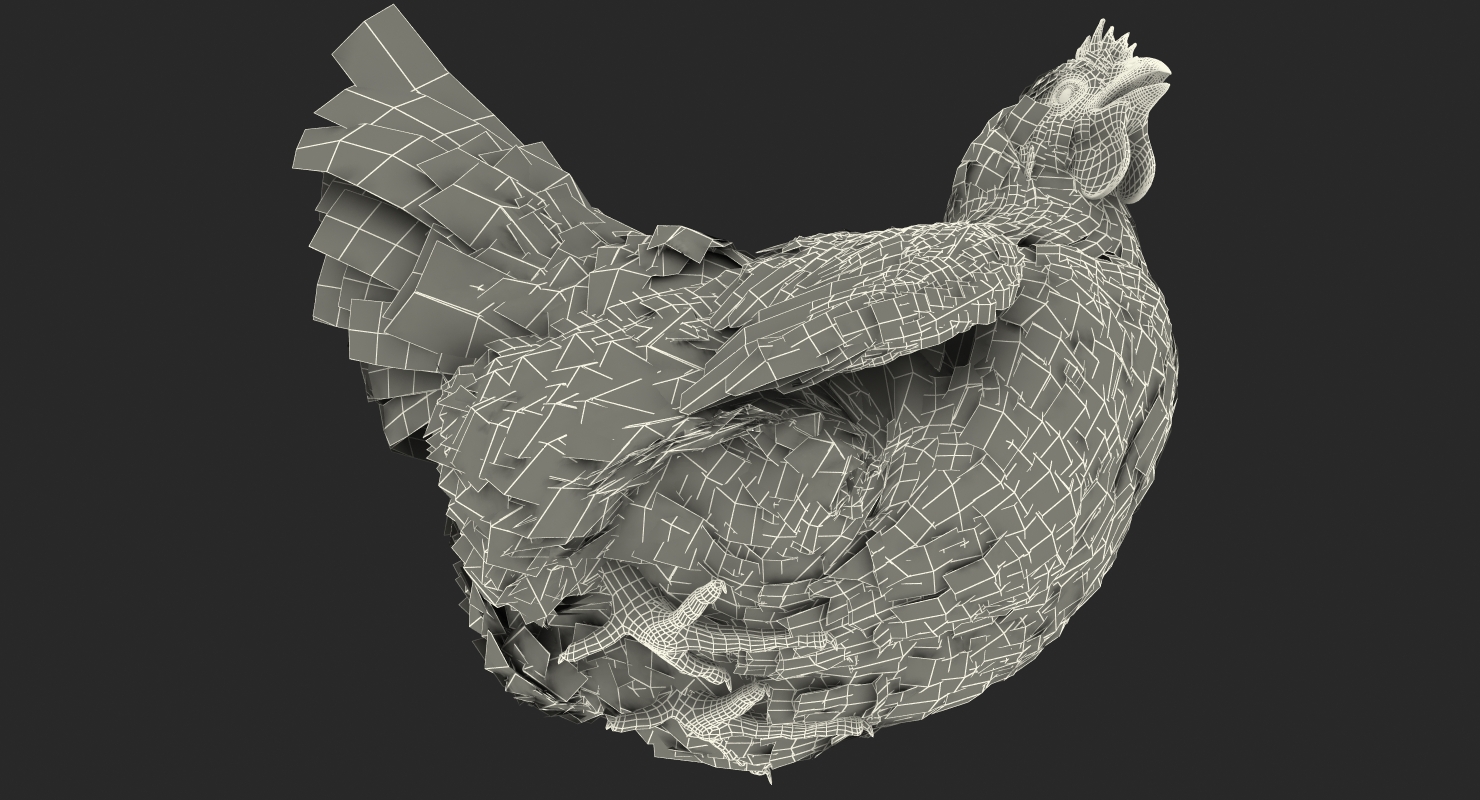 3D White Chicken Sitting Pose
