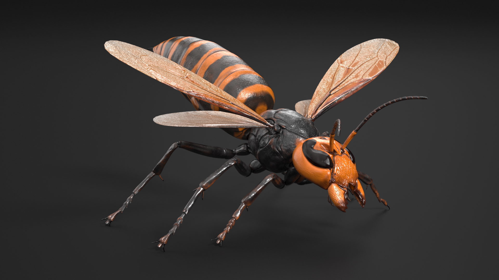 3D Huge Hornet Rigged model