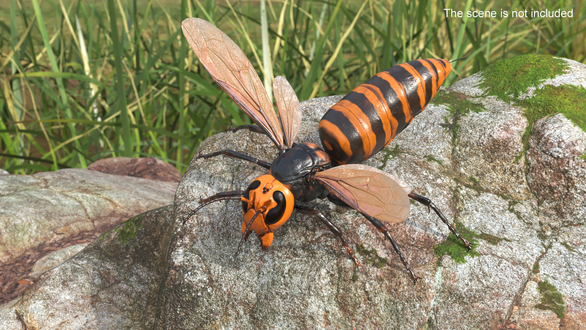3D Huge Hornet Rigged model
