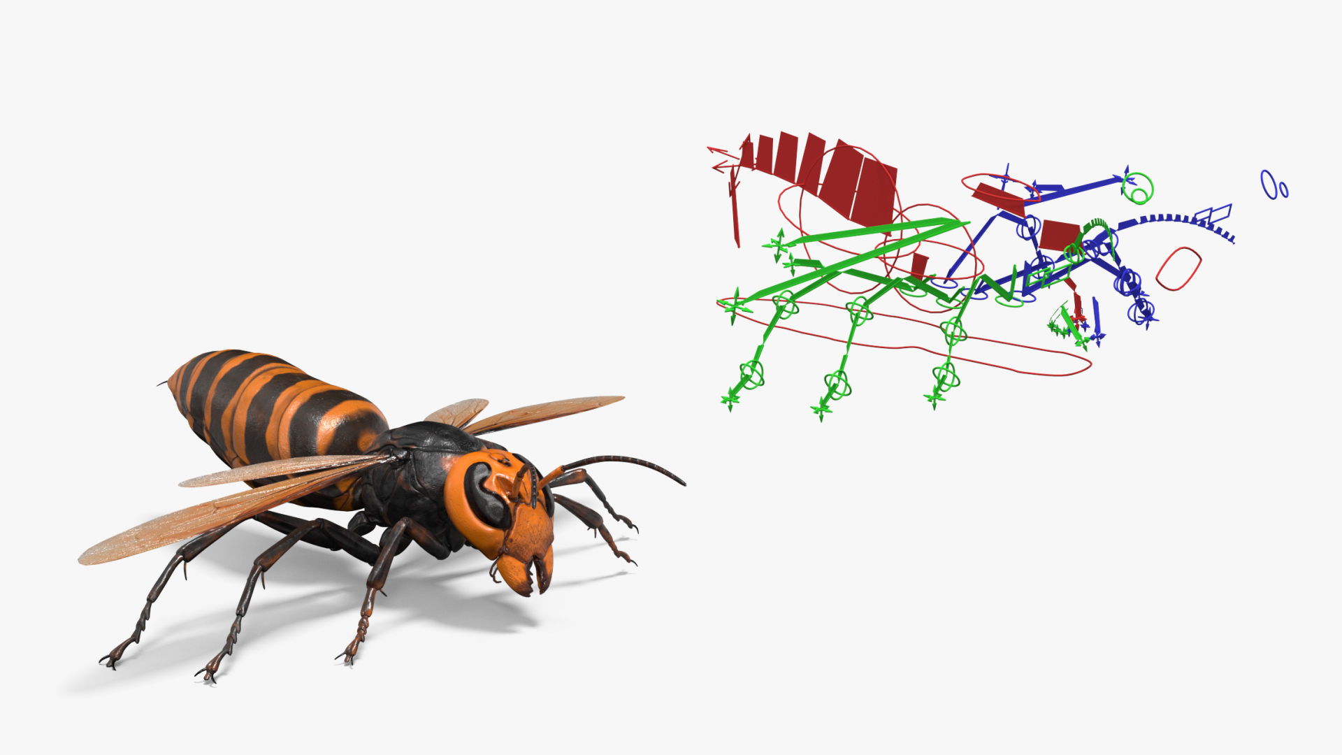3D Huge Hornet Rigged model