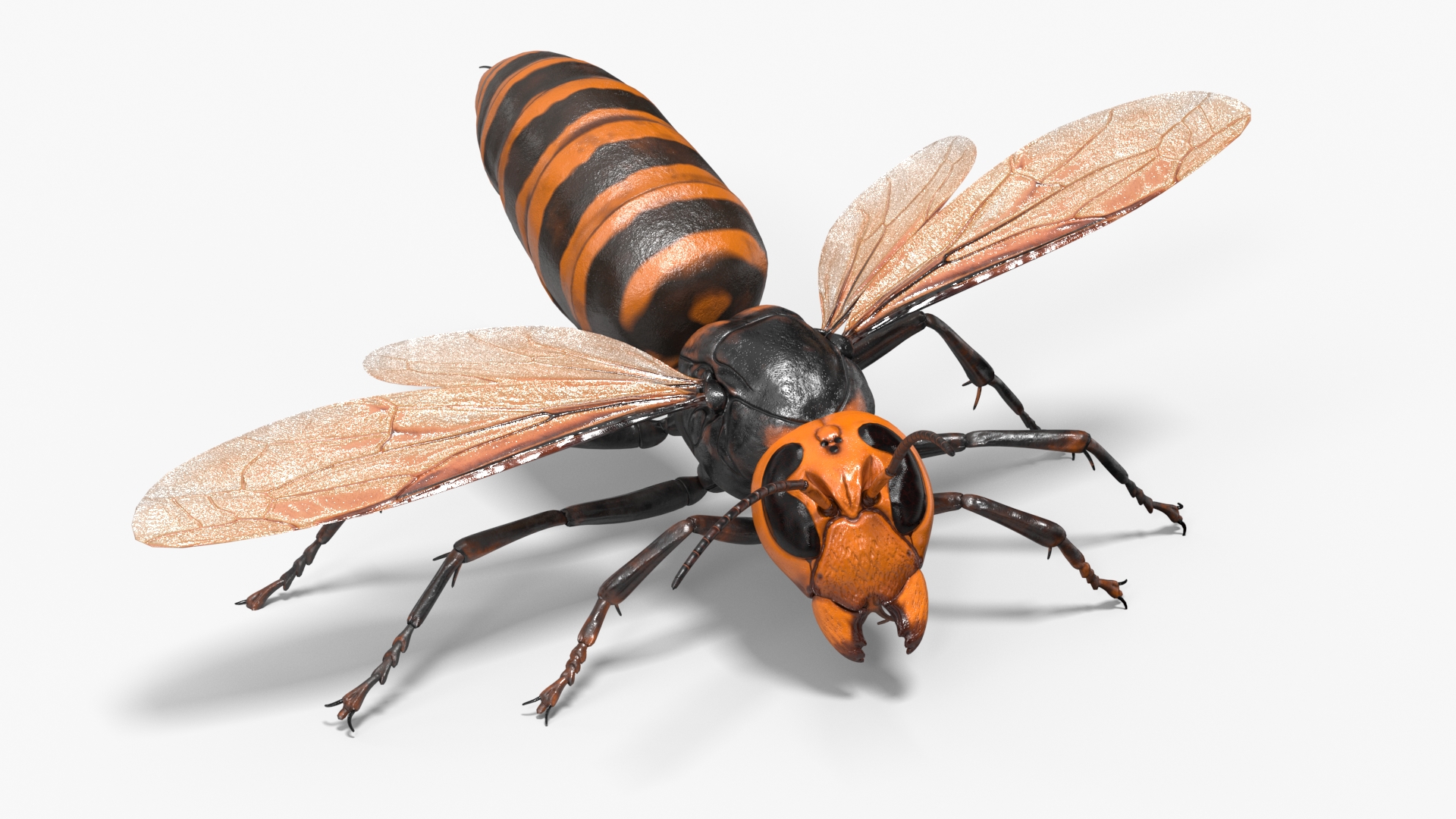 3D Huge Hornet Rigged model