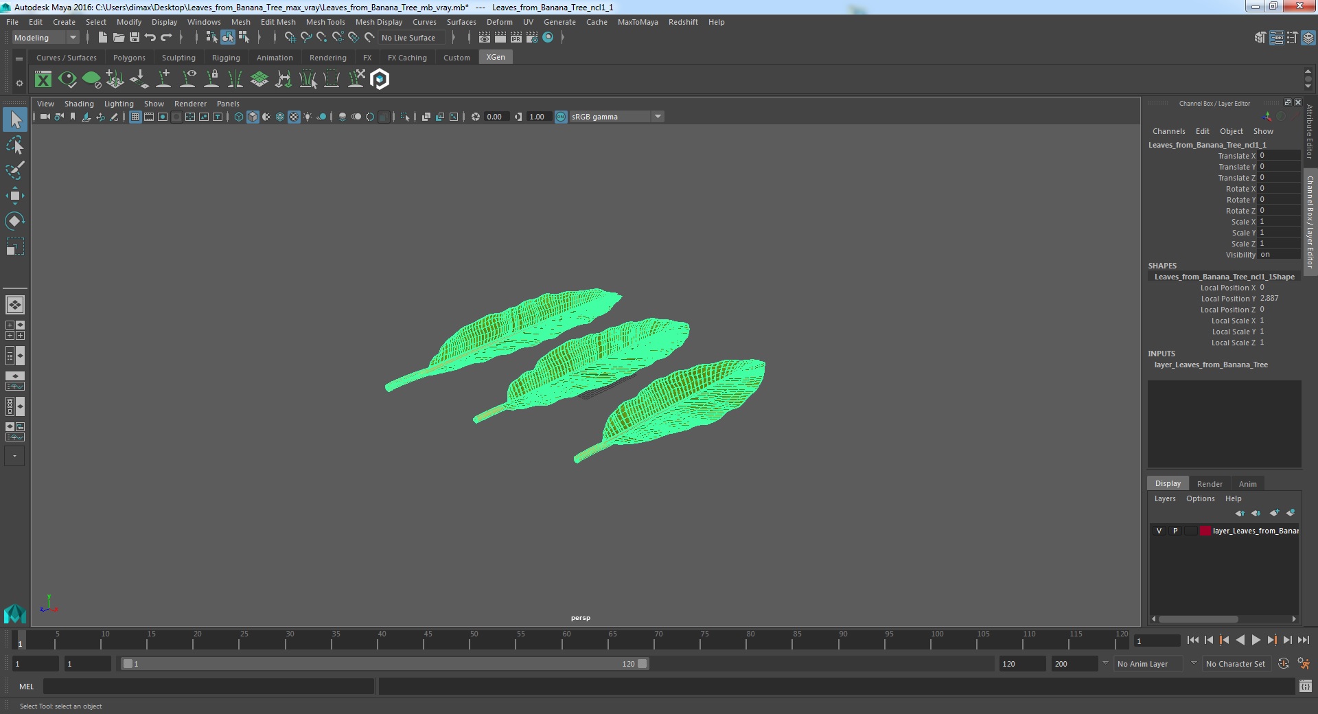 3D Leaves from Banana Tree model