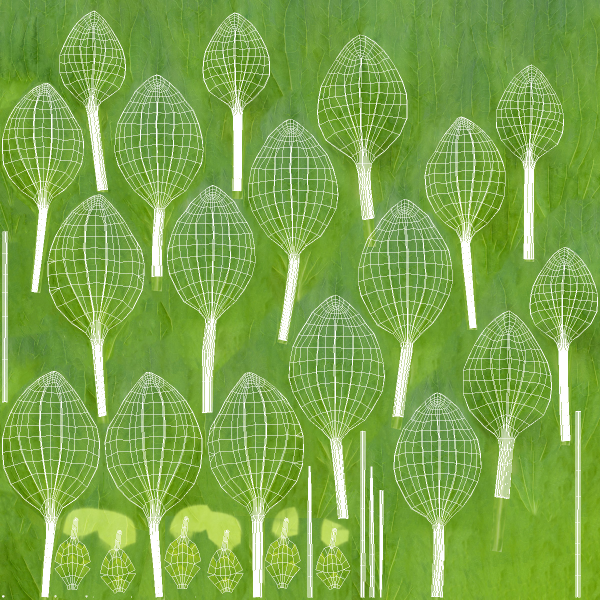 Realistic Broadleaf Plantain Plant 3D model