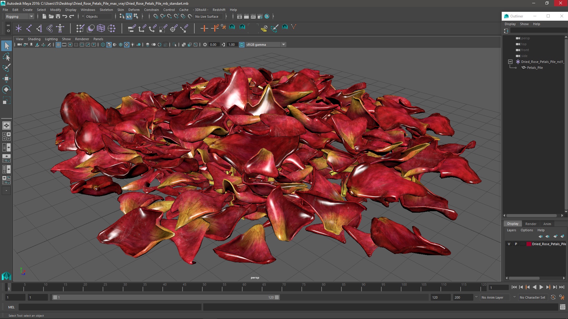 Dried Rose Petals Pile 3D