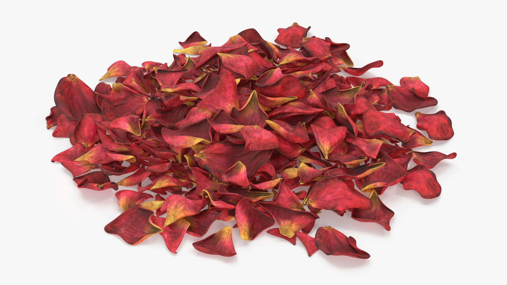 Dried Rose Petals Pile 3D