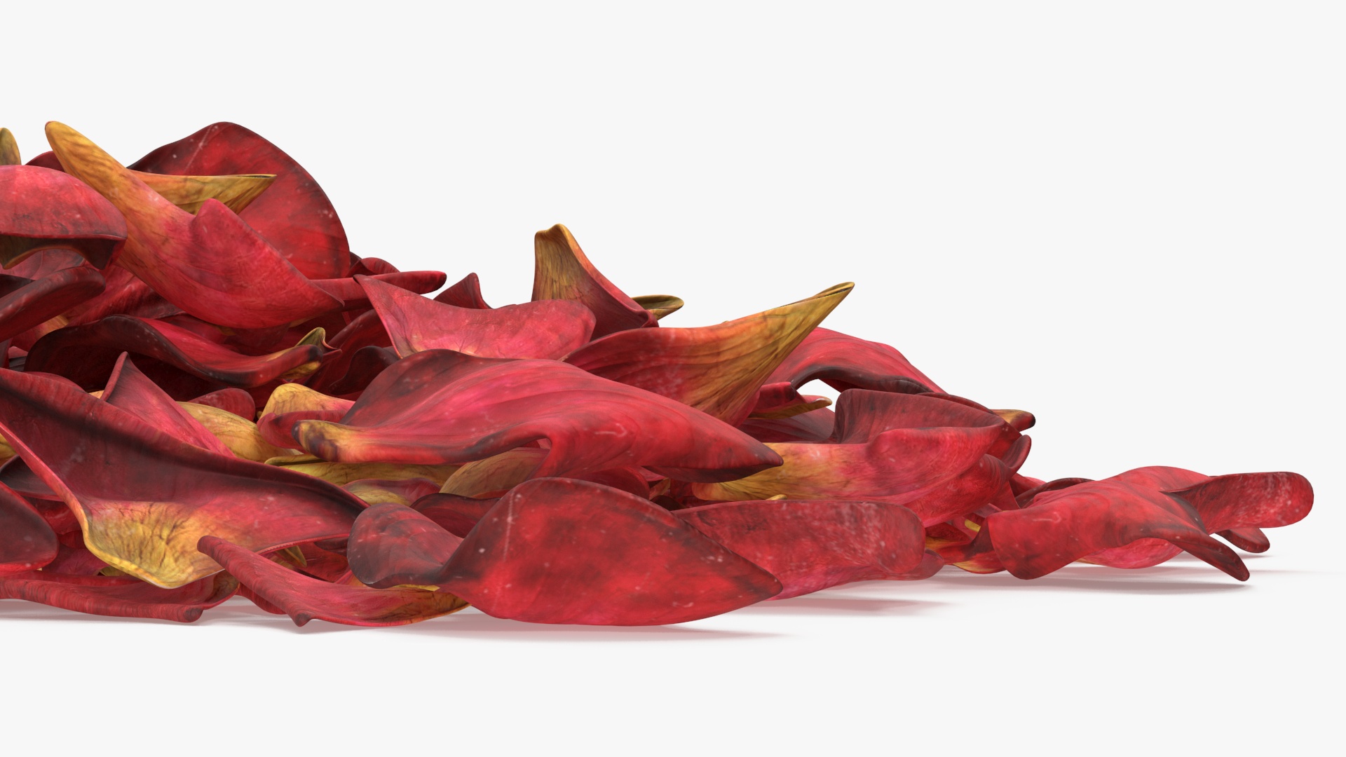Dried Rose Petals Pile 3D
