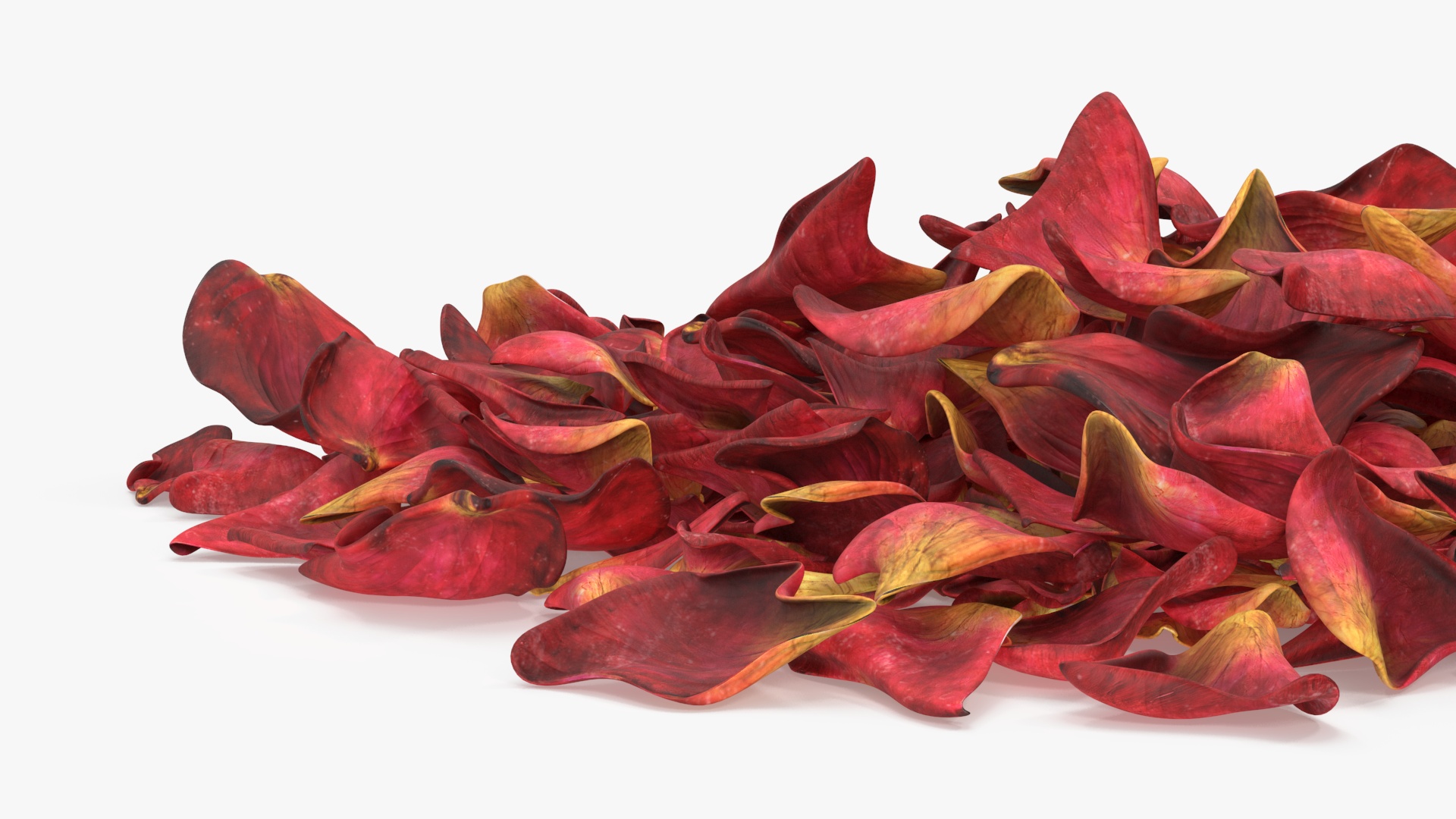 Dried Rose Petals Pile 3D