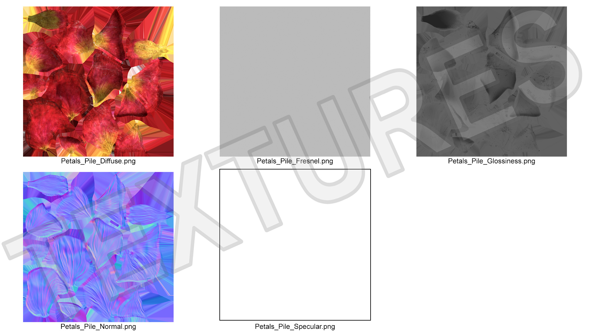 Dried Rose Petals Pile 3D