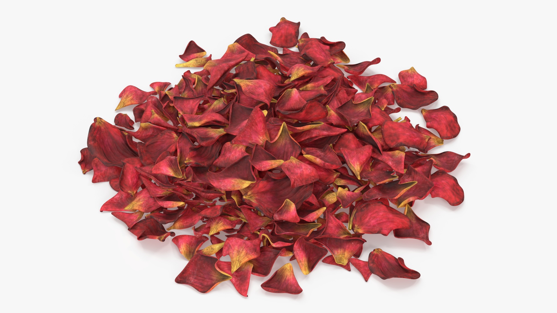 Dried Rose Petals Pile 3D