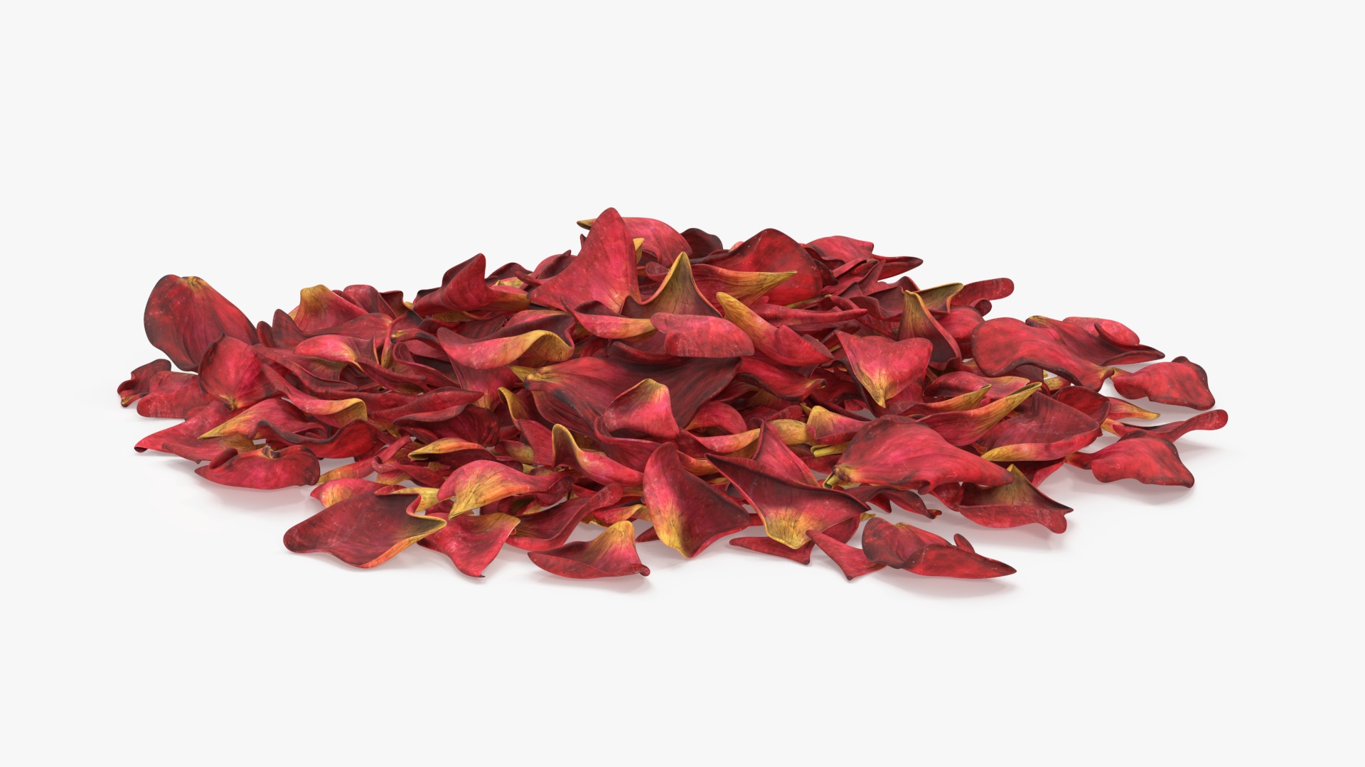 Dried Rose Petals Pile 3D