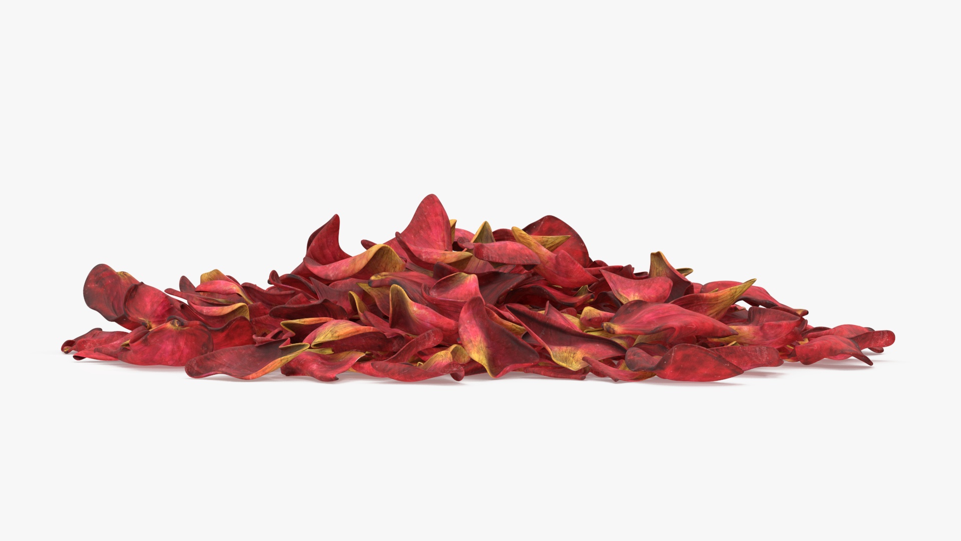 Dried Rose Petals Pile 3D