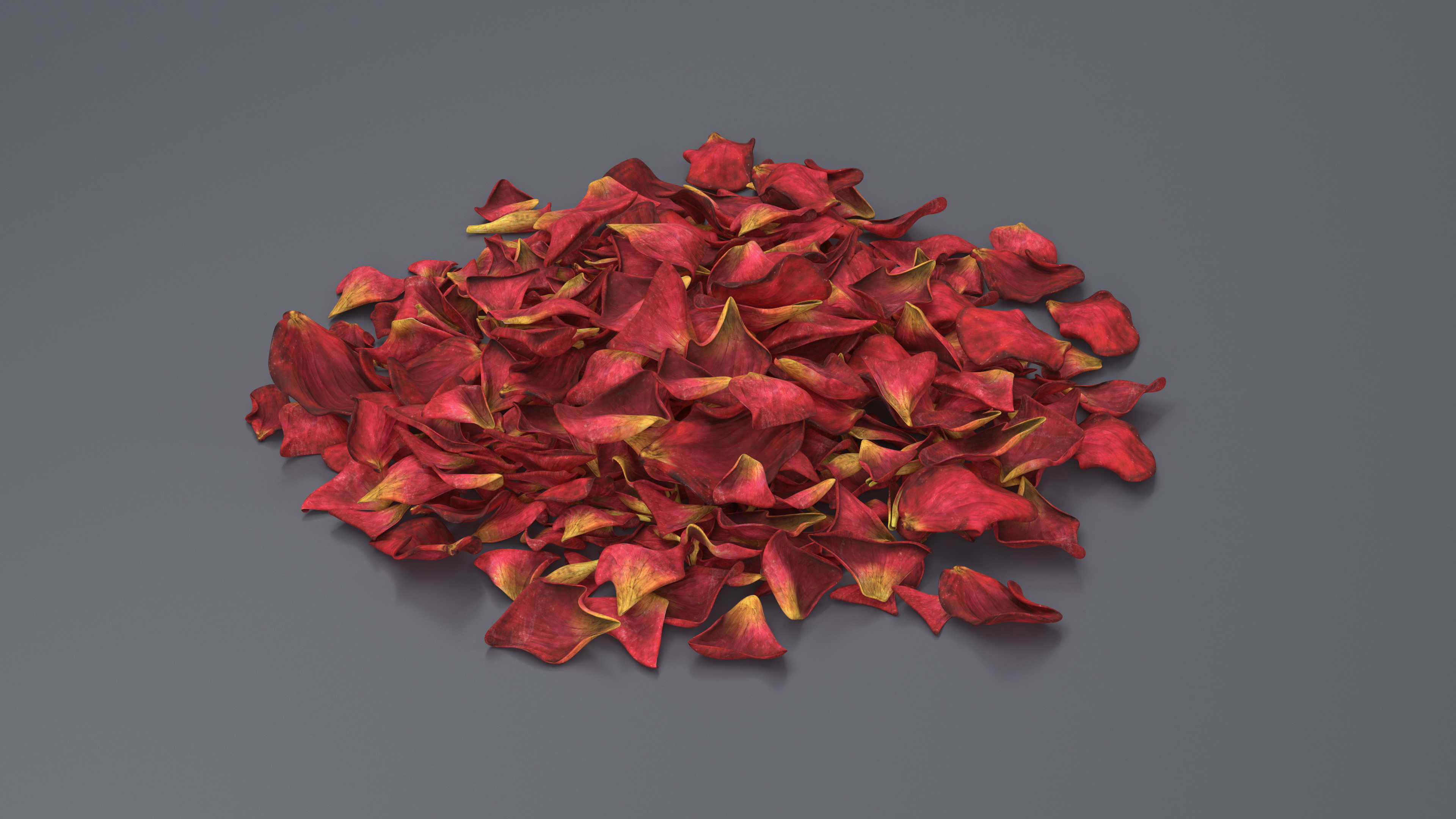 Dried Rose Petals Pile 3D