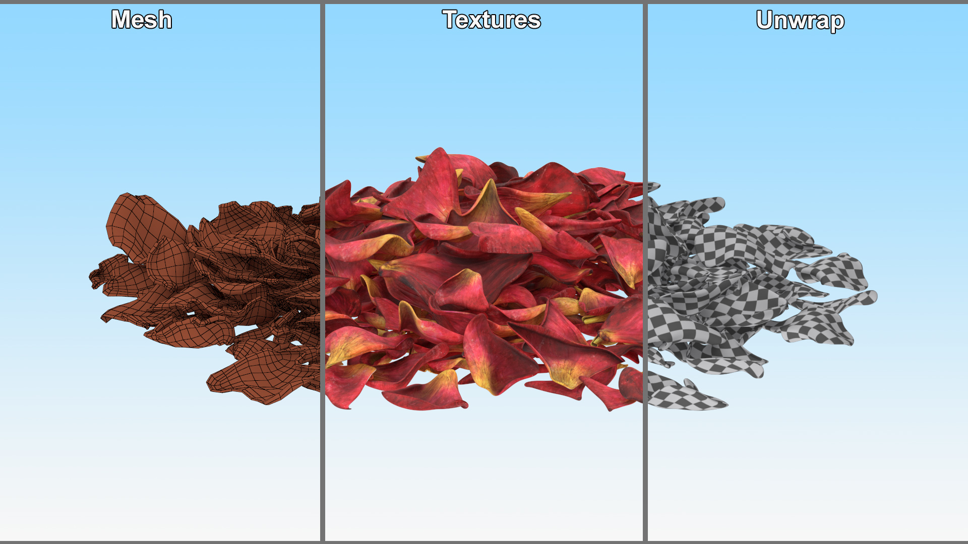 Dried Rose Petals Pile 3D