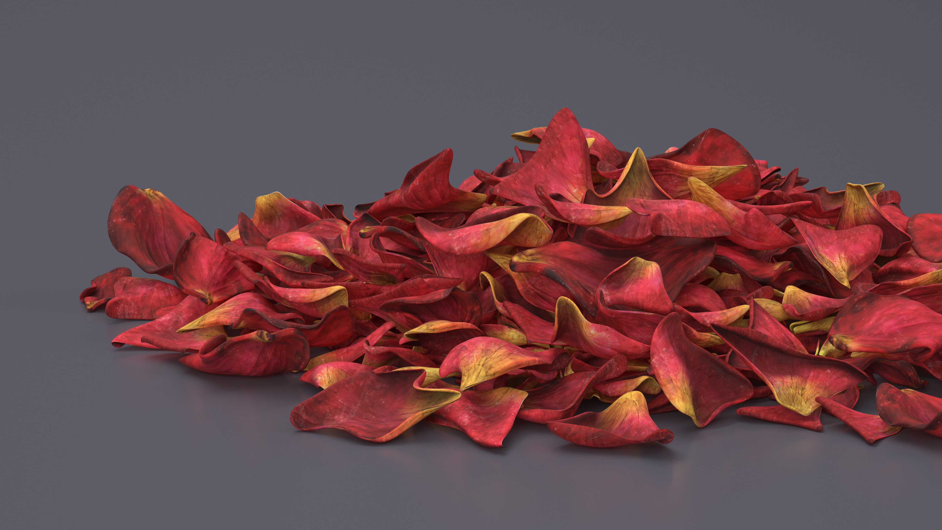 Dried Rose Petals Pile 3D