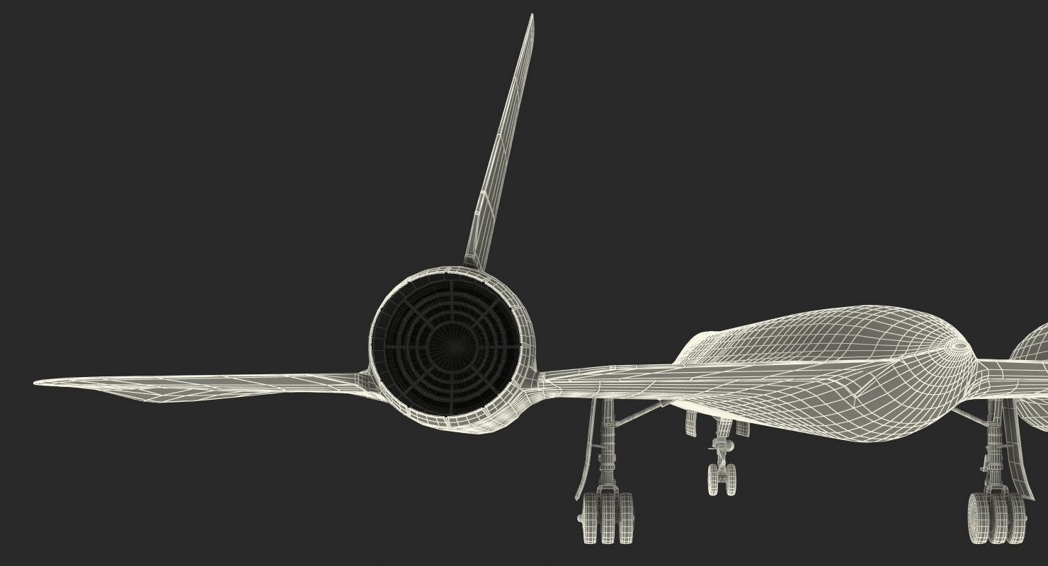 3D Lockheed SR 71 Blackbird Rigged