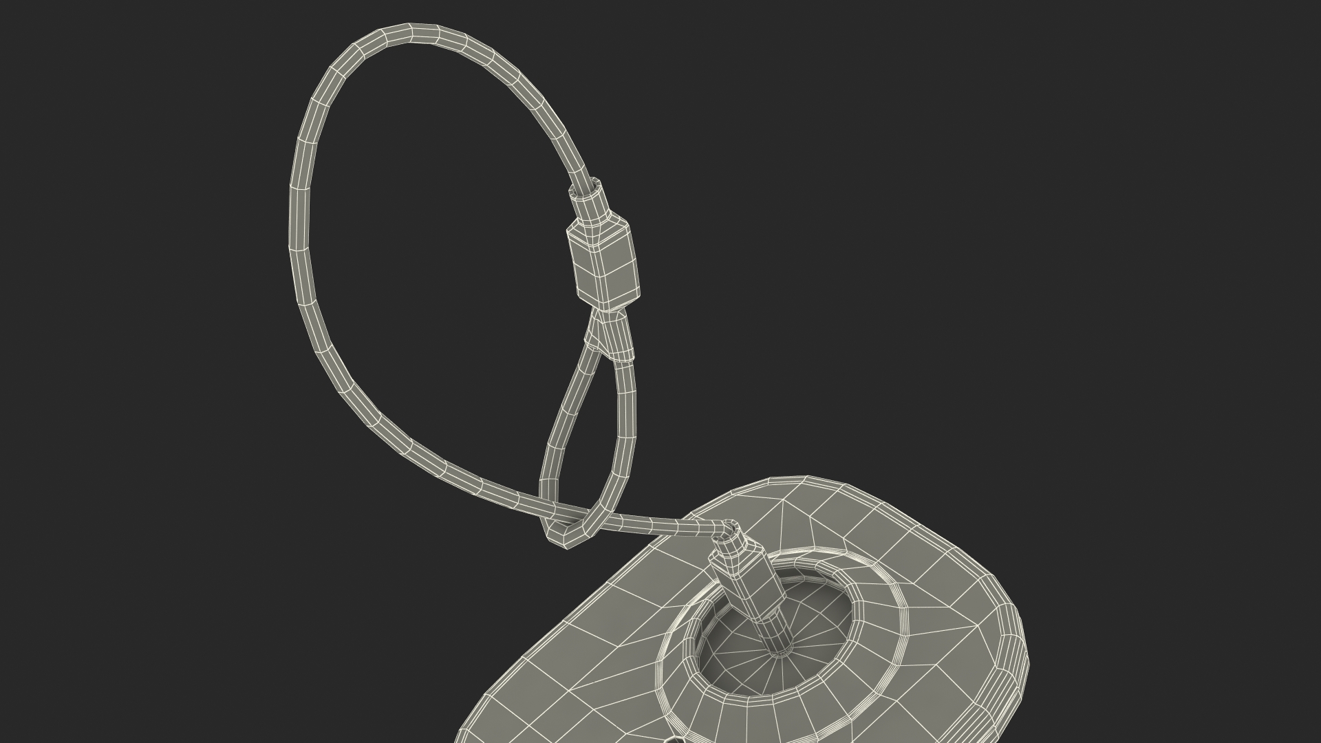 Clothing Security Tag With Cable 3D