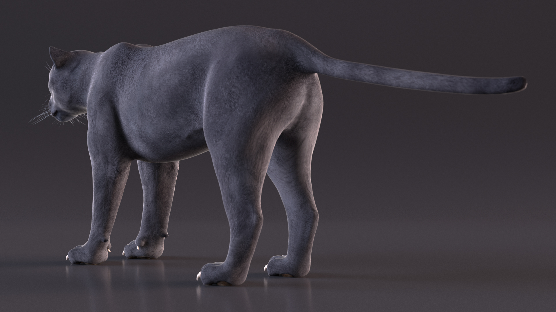 3D Black Panther model