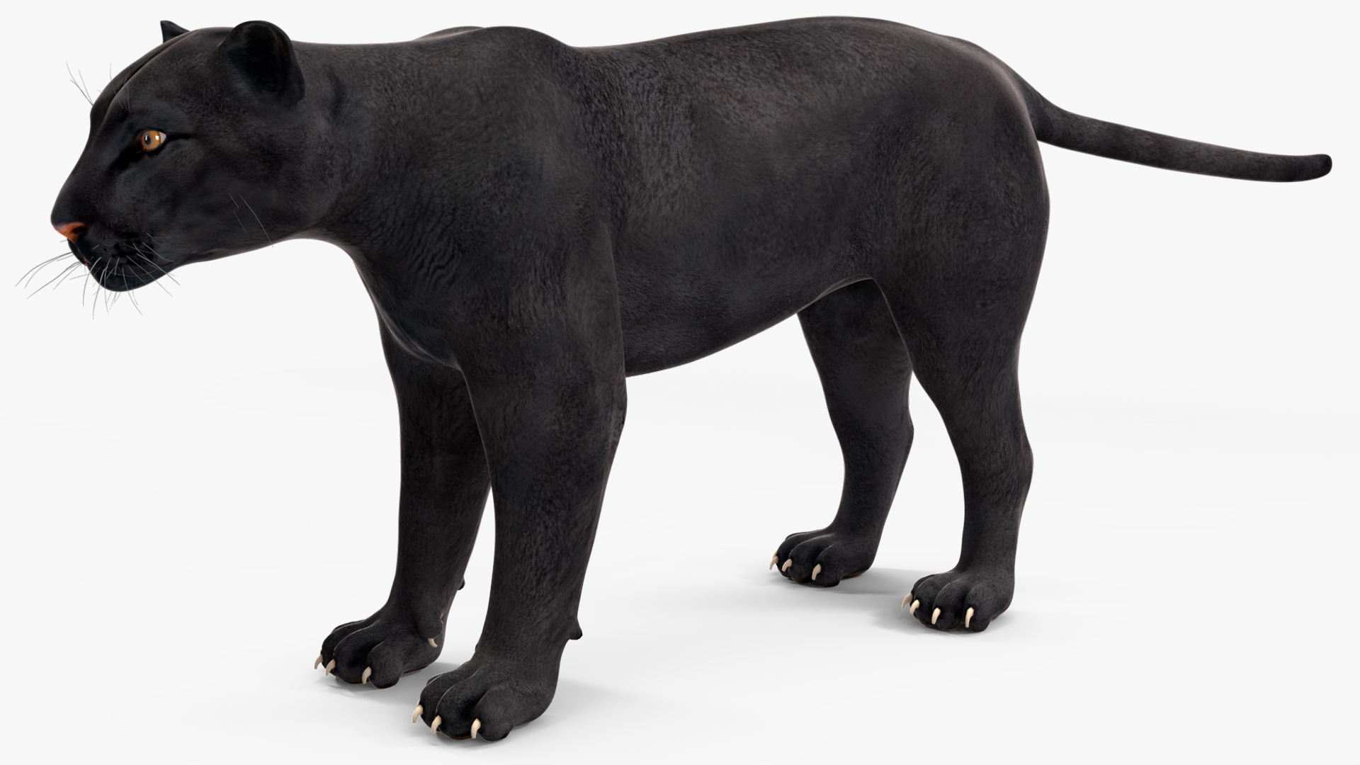 3D Black Panther model