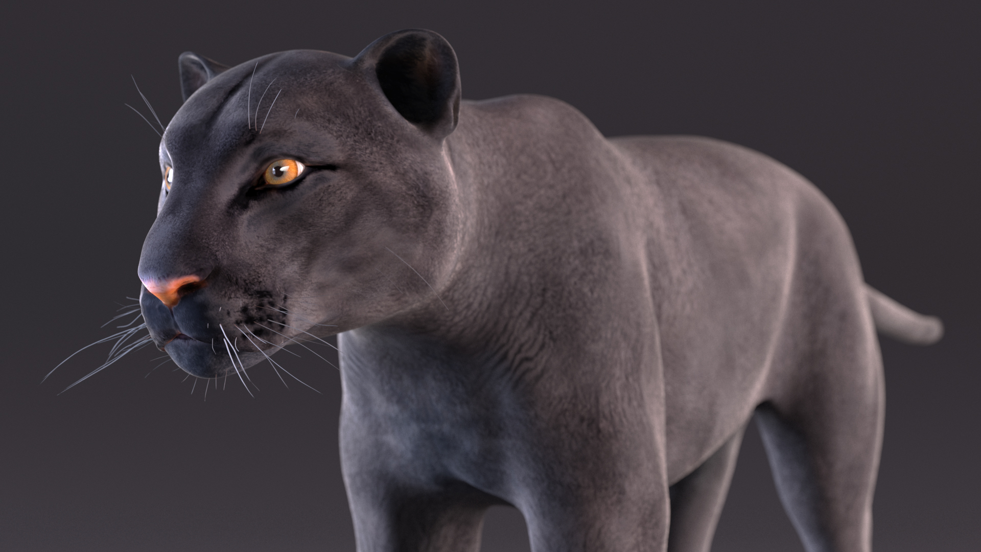 3D Black Panther model