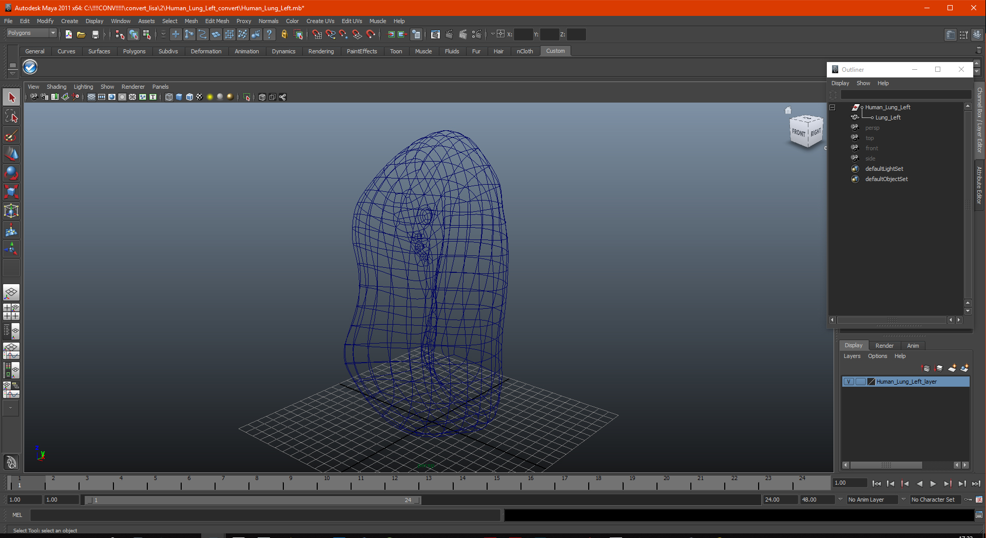 3D model Human Lung Left
