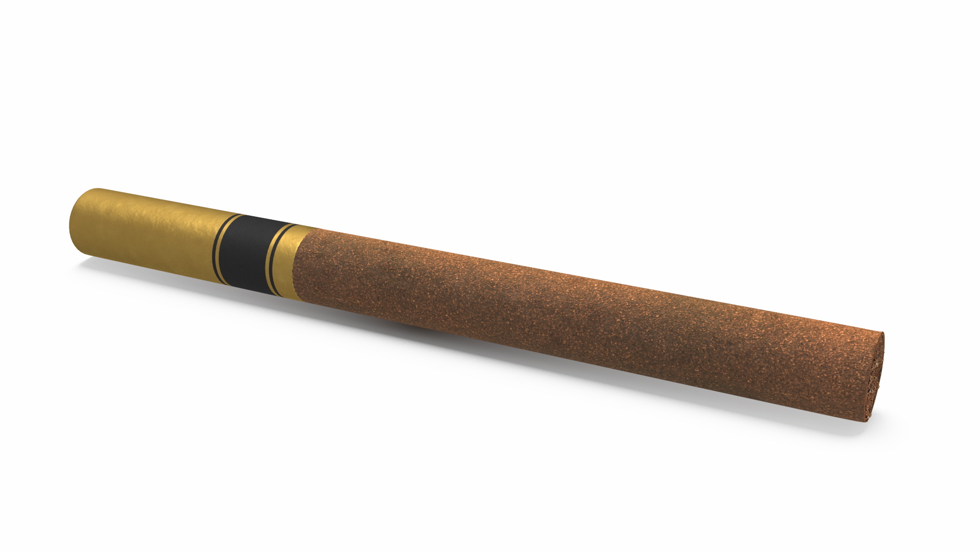 Filtered Cigar 3D model