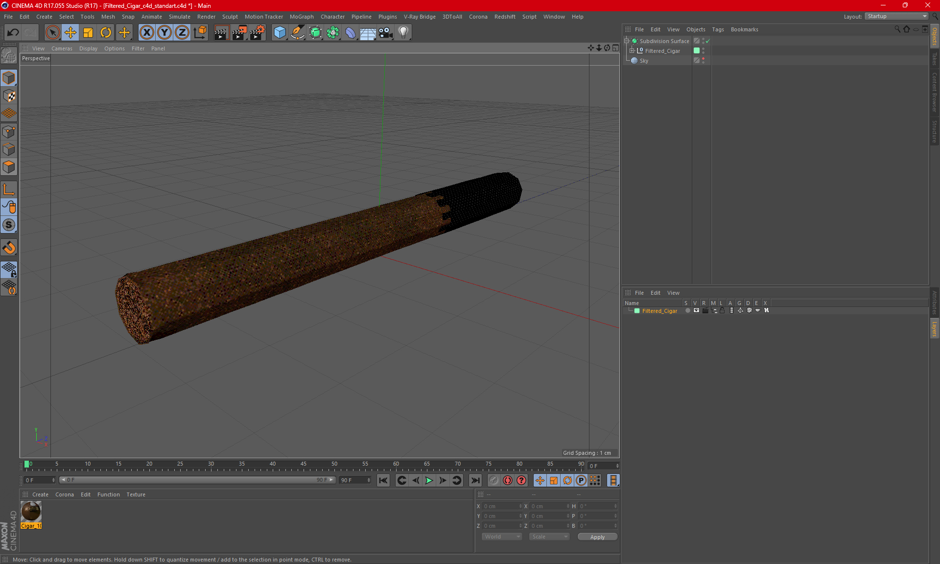 Filtered Cigar 3D model