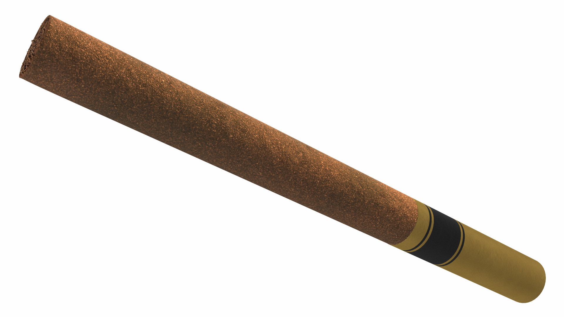 Filtered Cigar 3D model