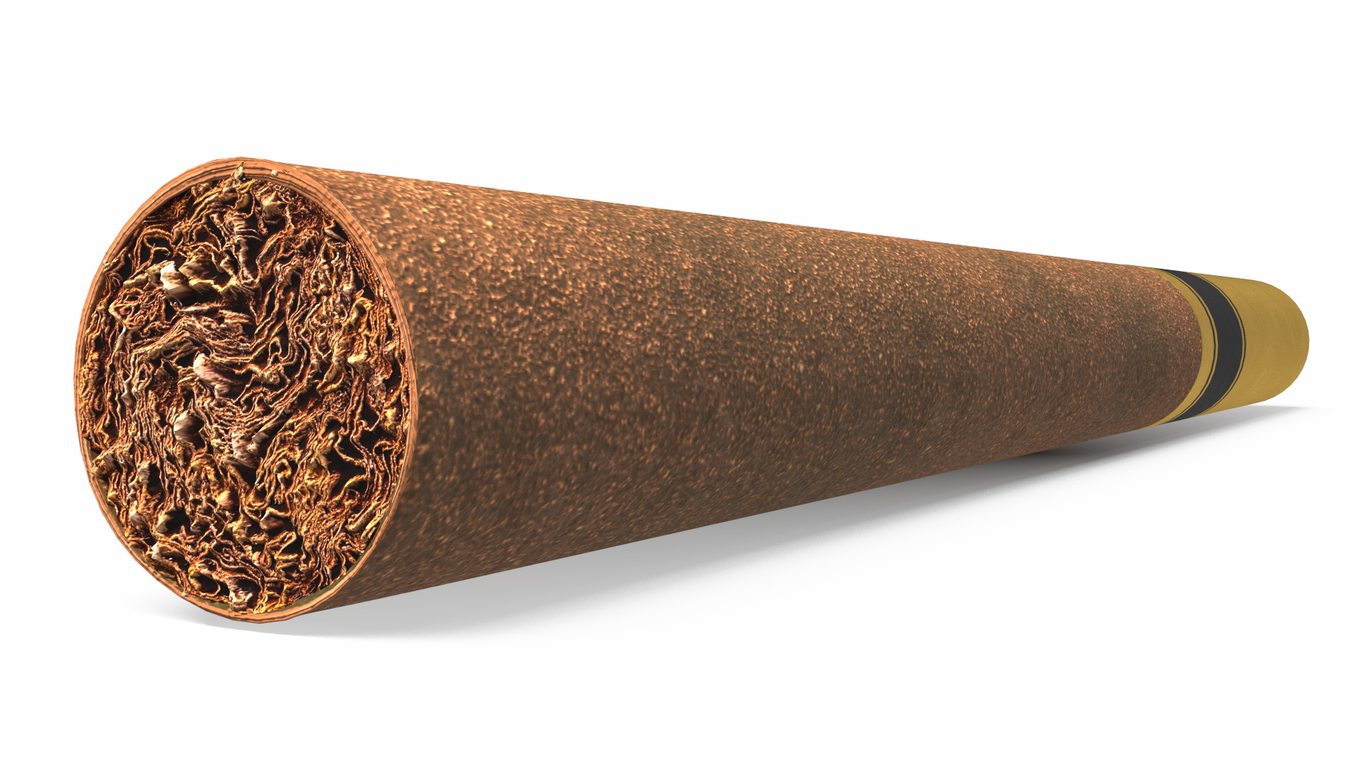 Filtered Cigar 3D model