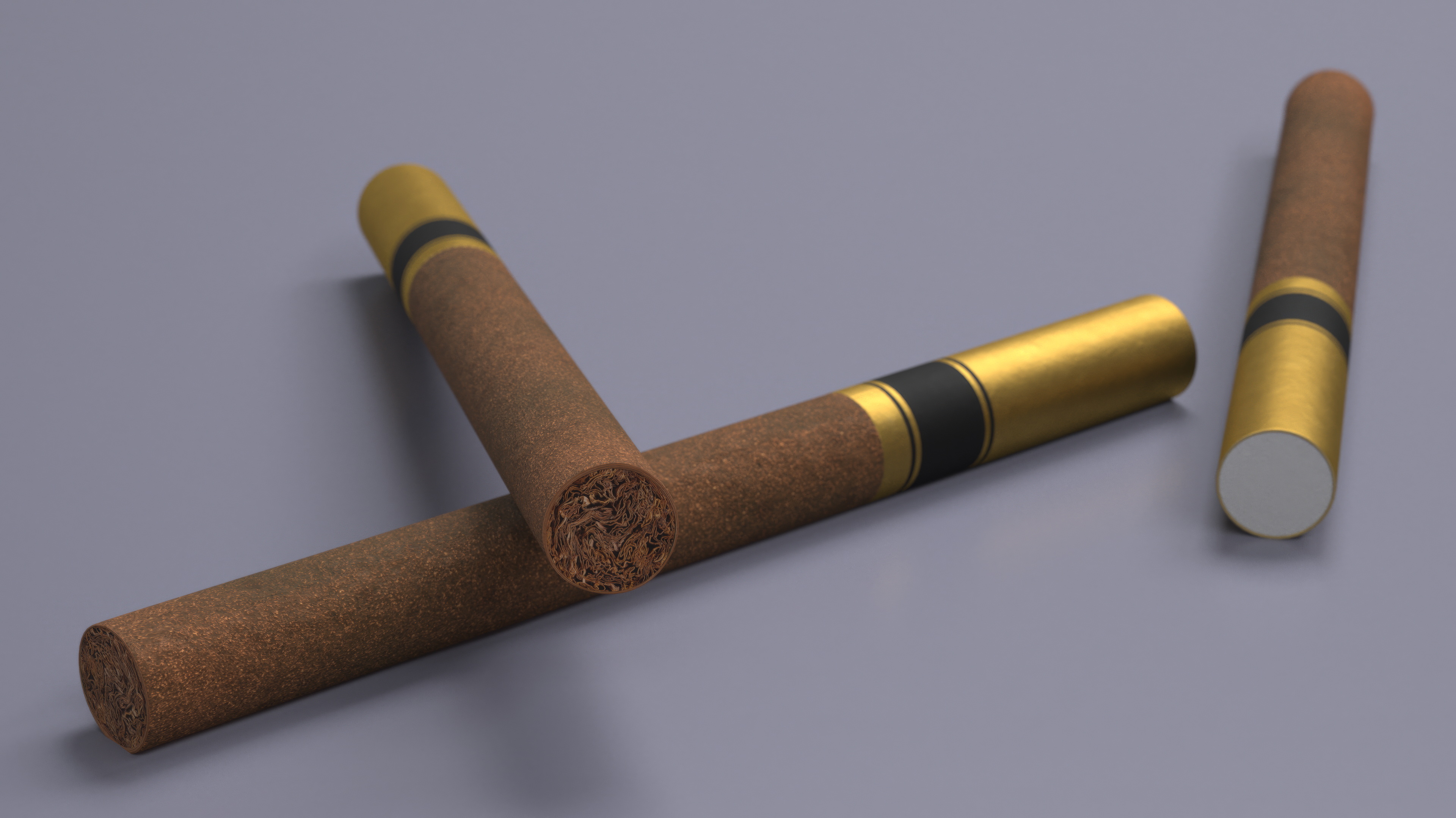 Filtered Cigar 3D model