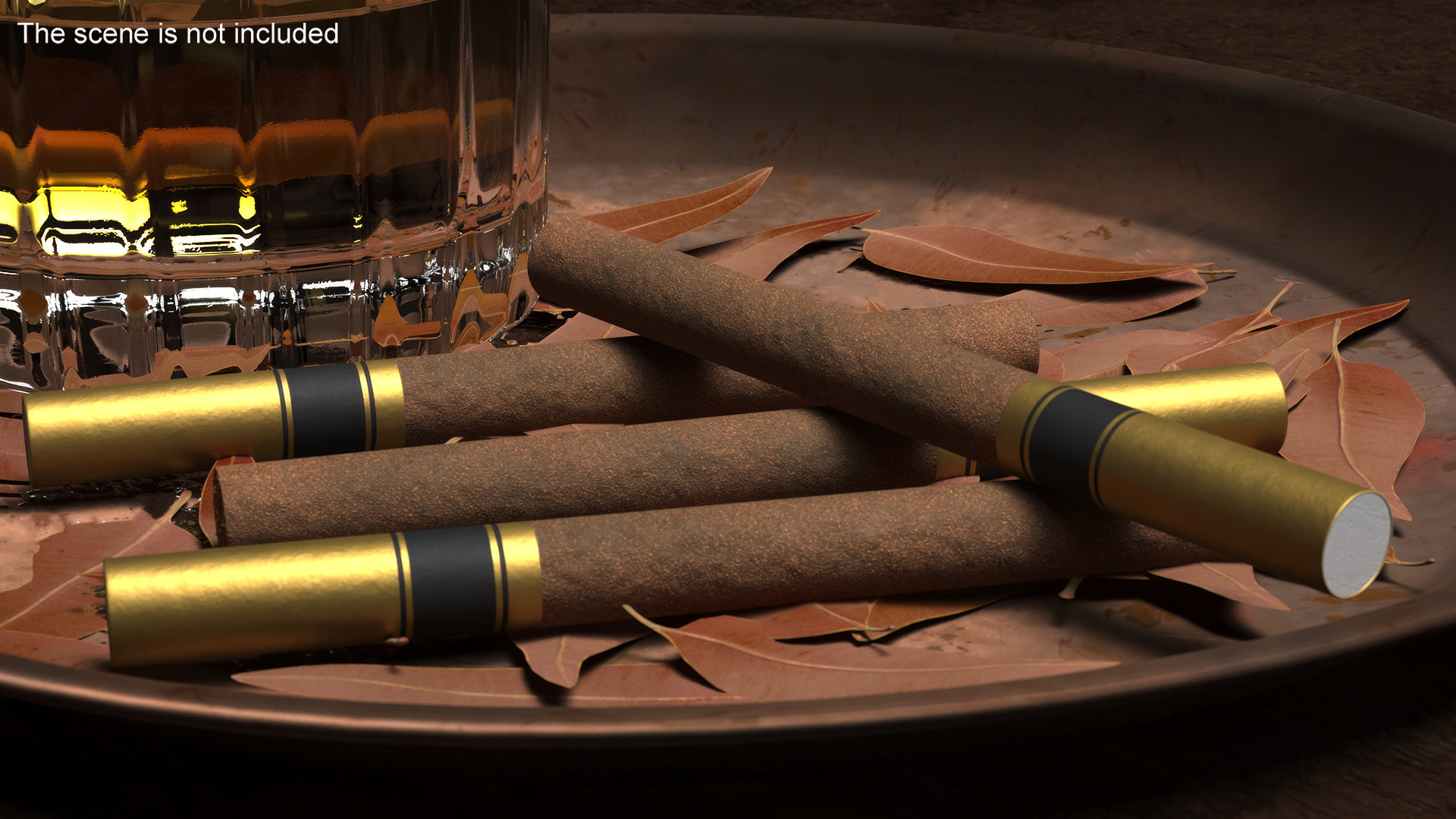 Filtered Cigar 3D model