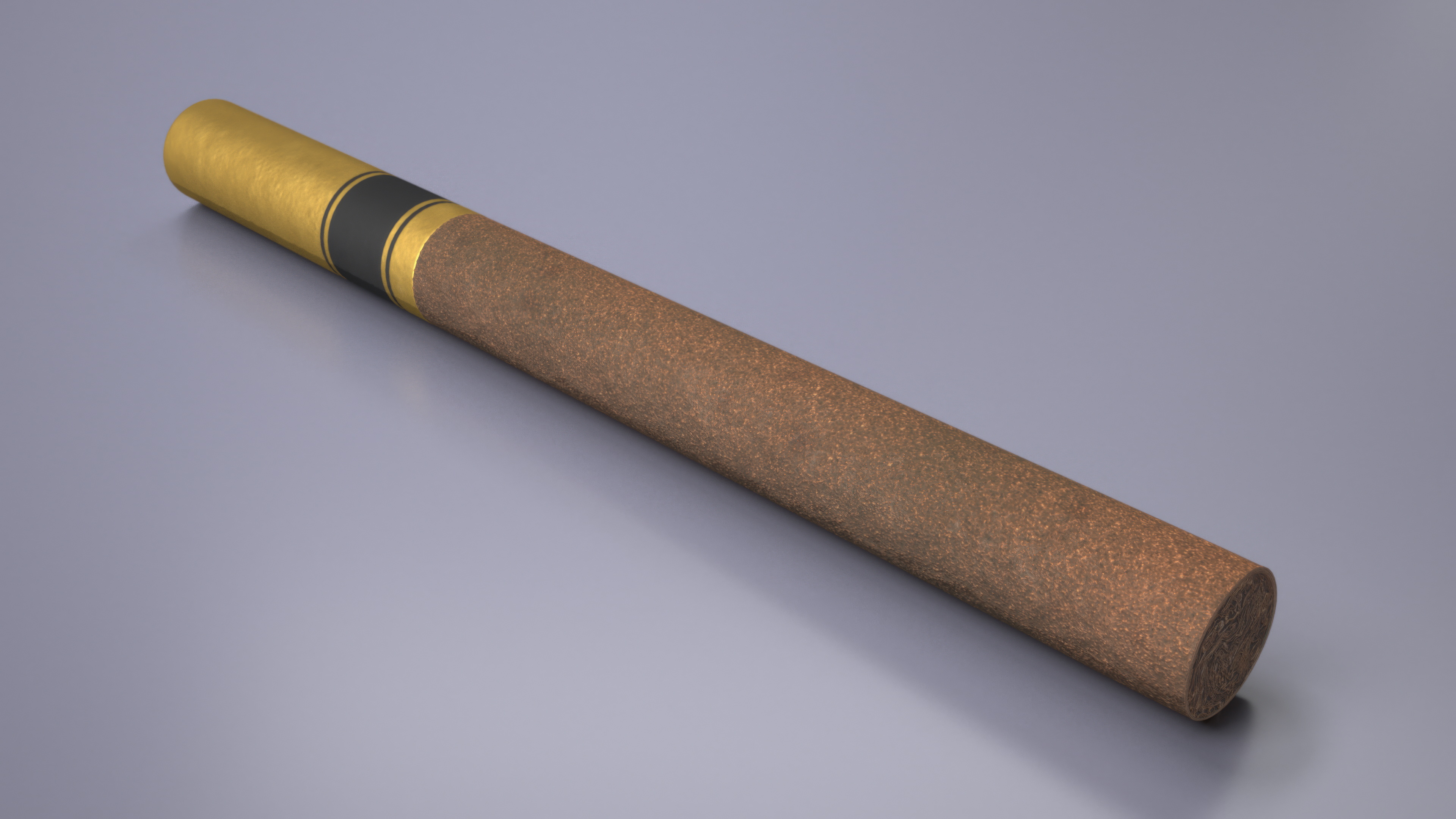 Filtered Cigar 3D model