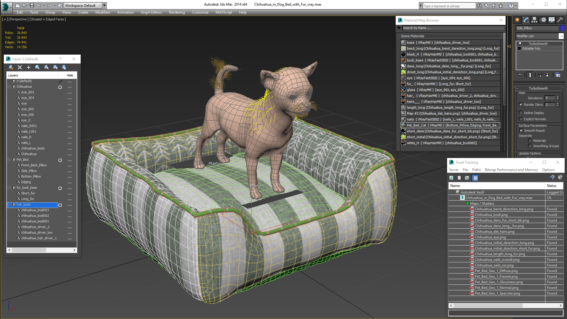 Chihuahua in Dog Bed with Fur 3D model