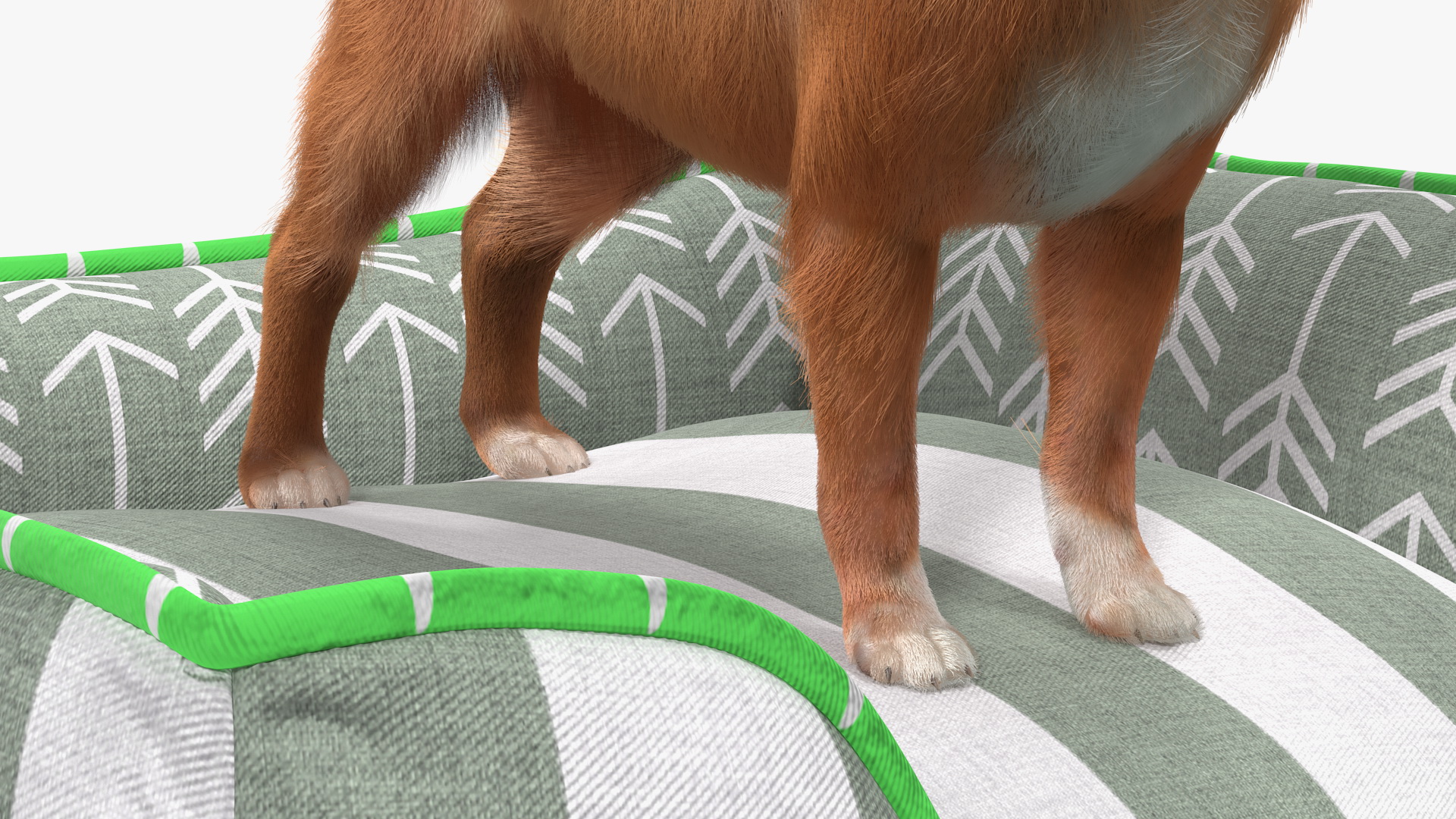Chihuahua in Dog Bed with Fur 3D model