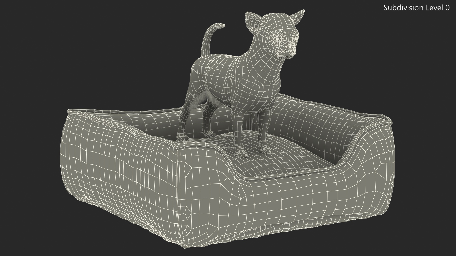 Chihuahua in Dog Bed with Fur 3D model