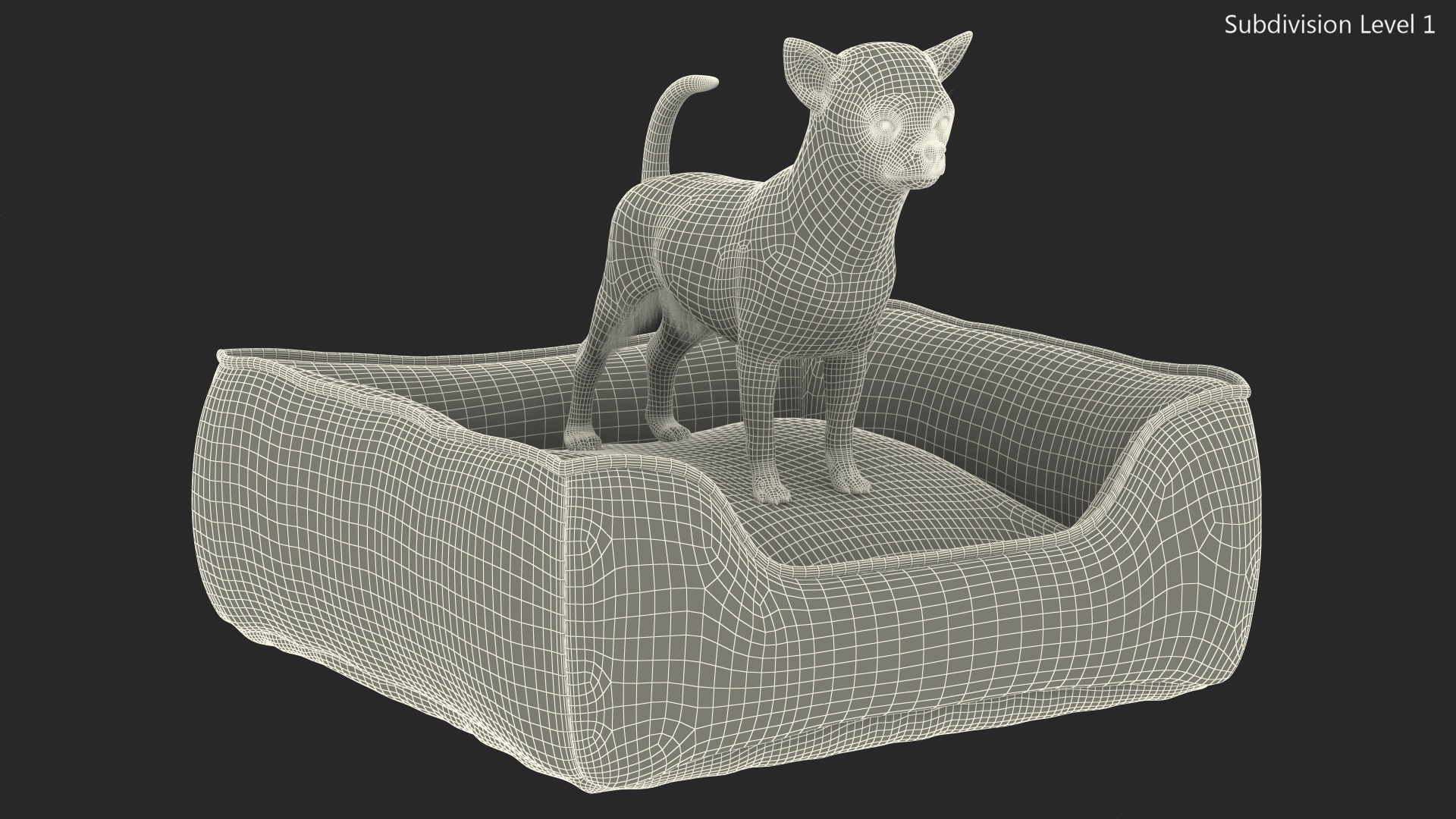 Chihuahua in Dog Bed with Fur 3D model