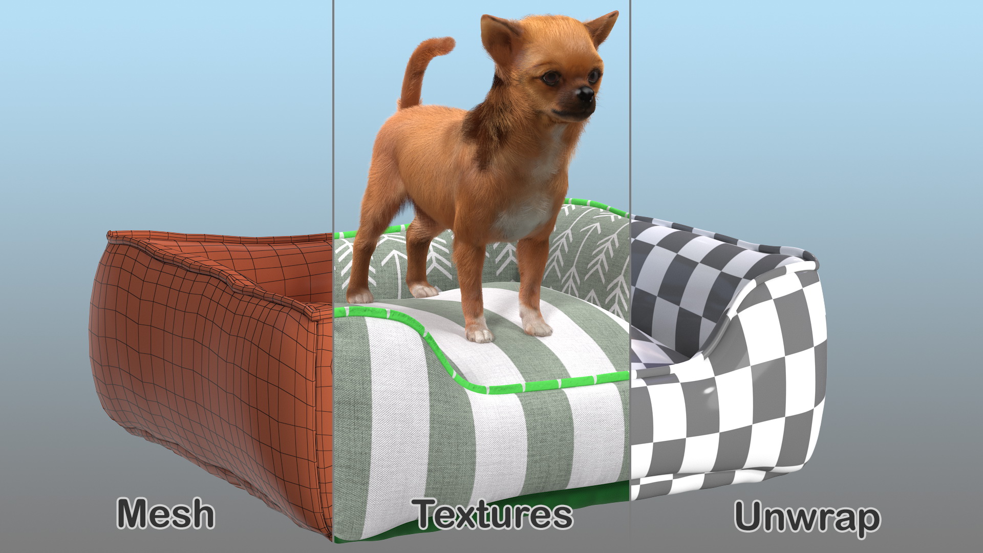 Chihuahua in Dog Bed with Fur 3D model
