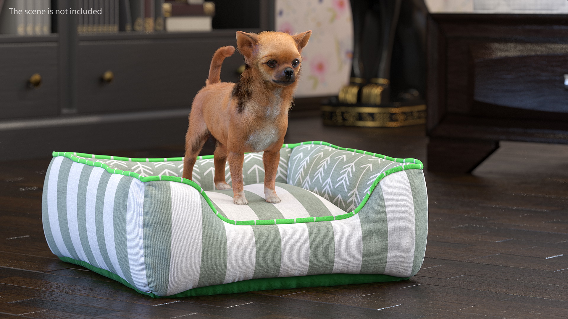 Chihuahua in Dog Bed with Fur 3D model