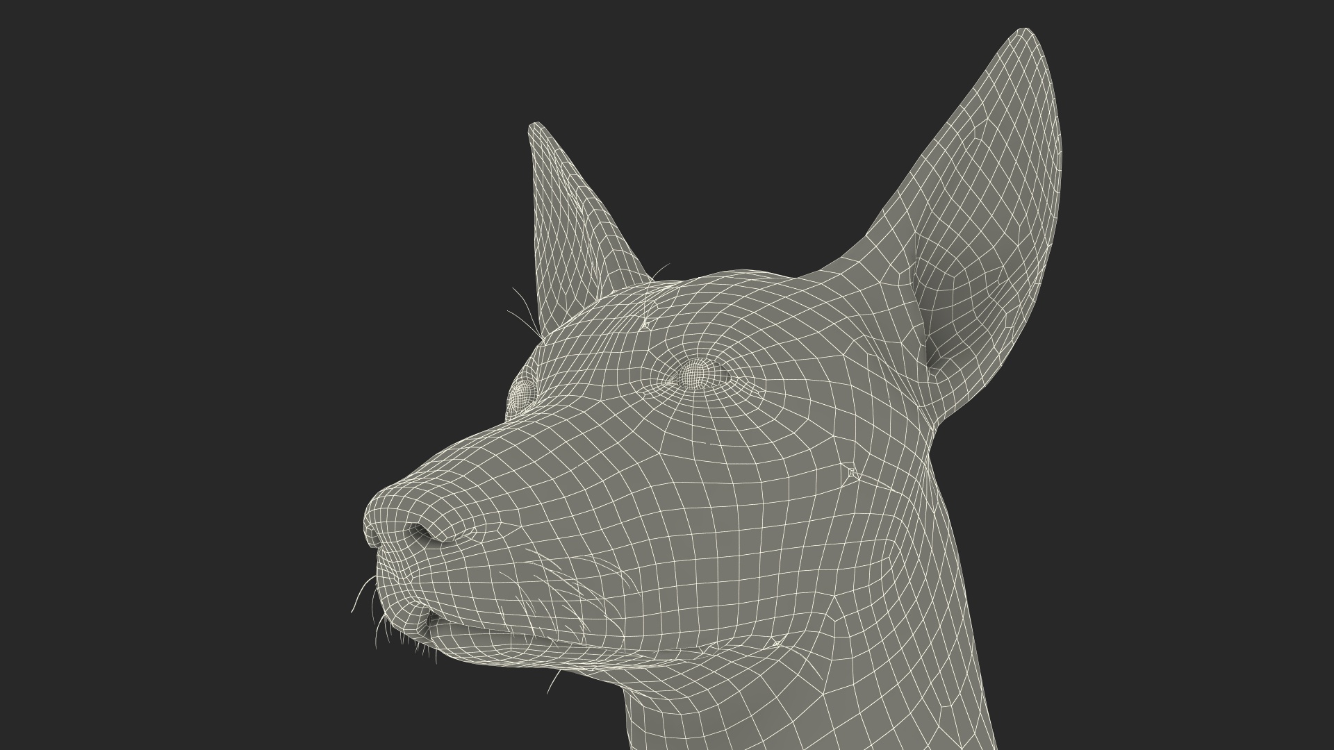 Mexican Hairless Dog Xolo Fur 3D model