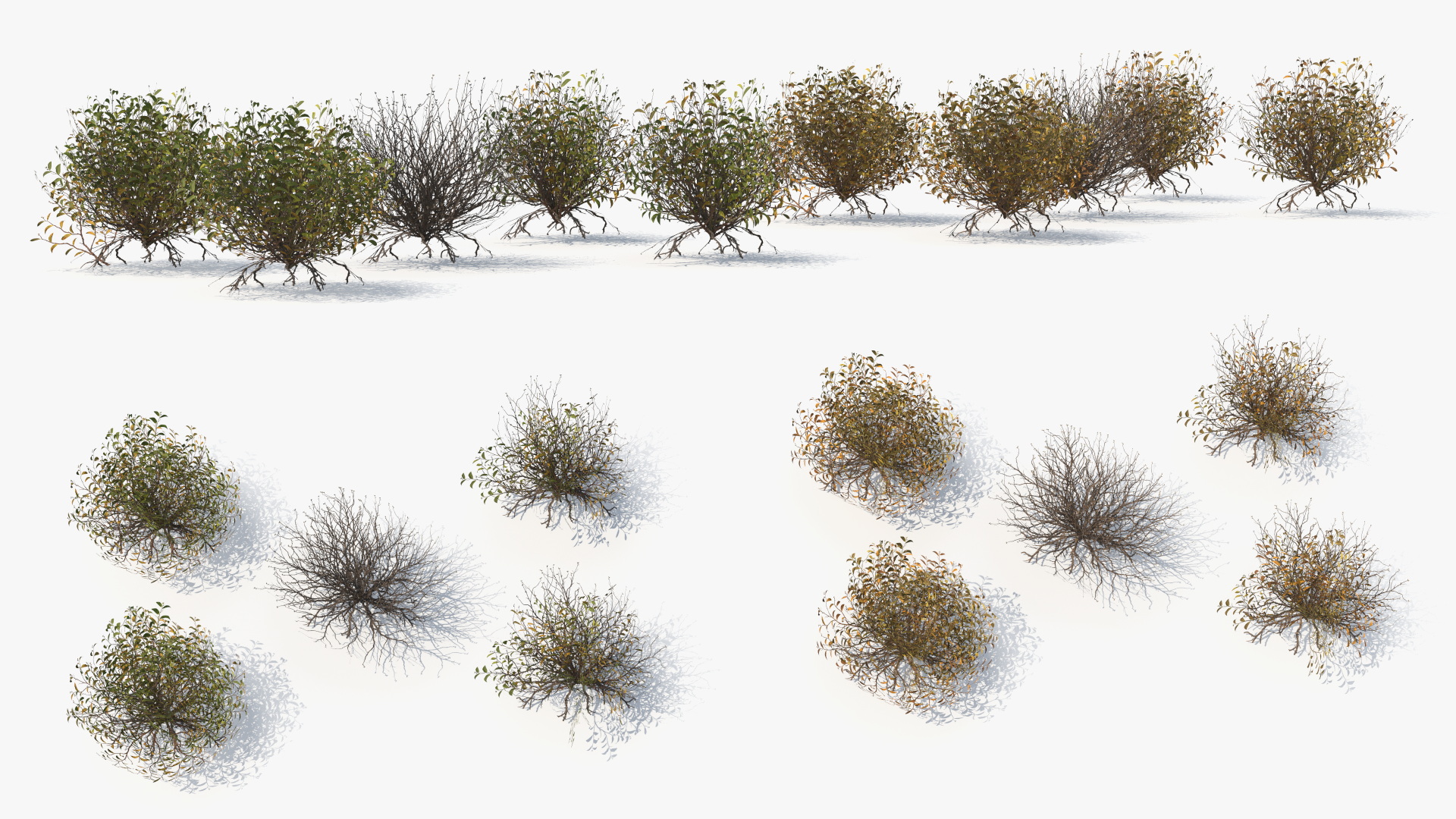Wild Brush Vegetation with Dry Shrubs Set Low Poly - view 3