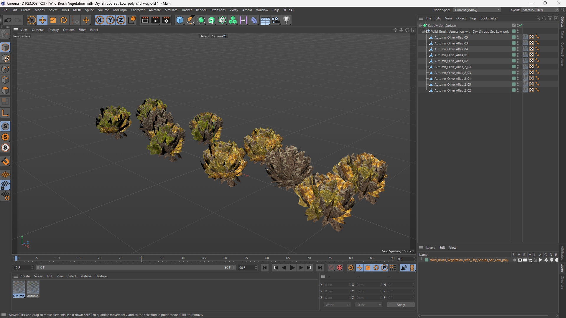 Wild Brush Vegetation with Dry Shrubs Set Low Poly - view 12