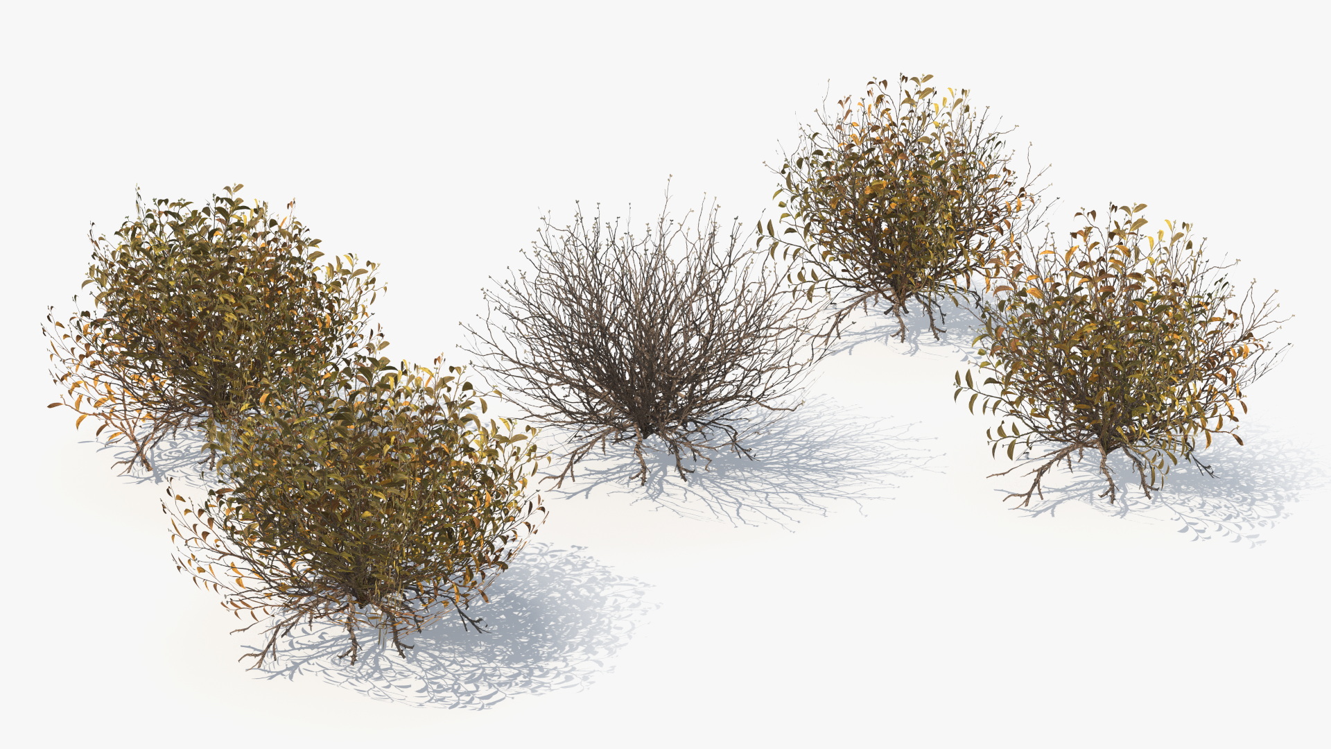 Wild Brush Vegetation with Dry Shrubs Set Low Poly - view 6