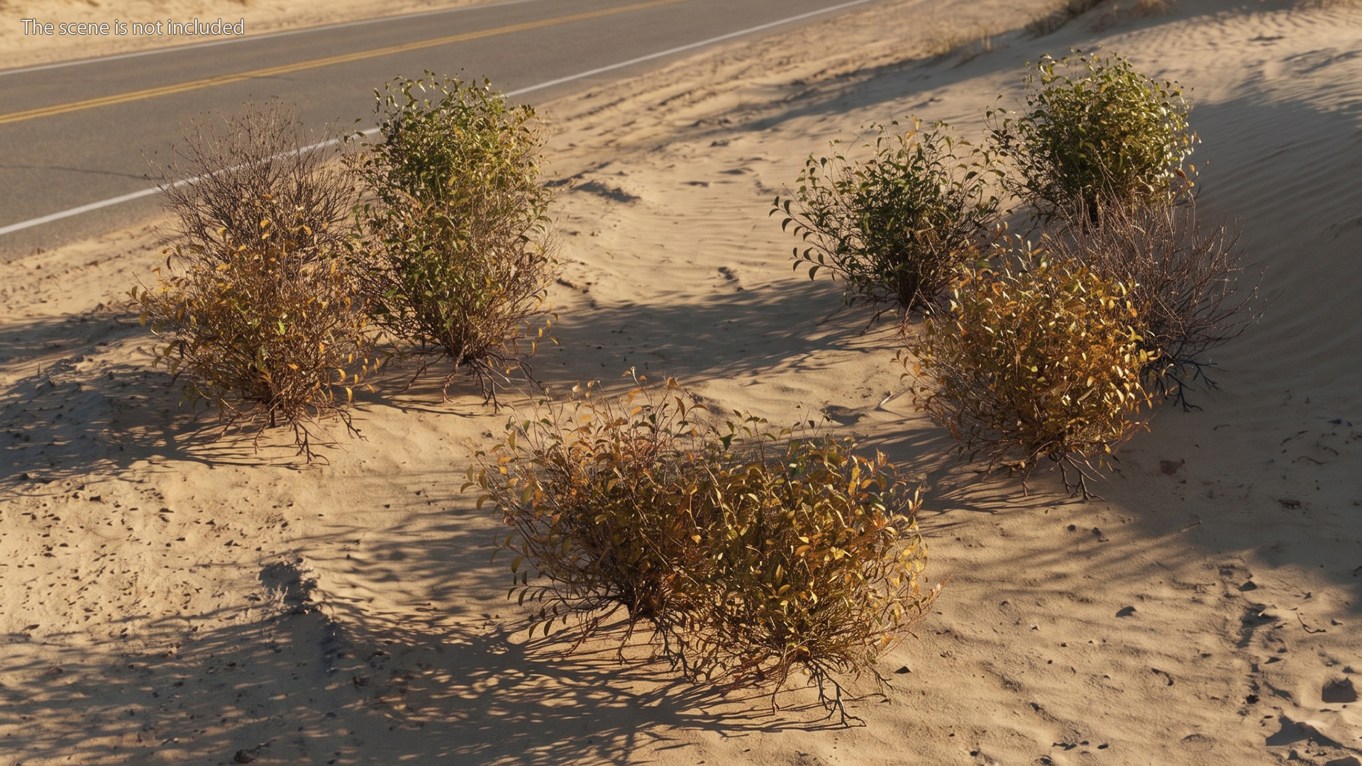 Wild Brush Vegetation with Dry Shrubs Set Low Poly - view 2