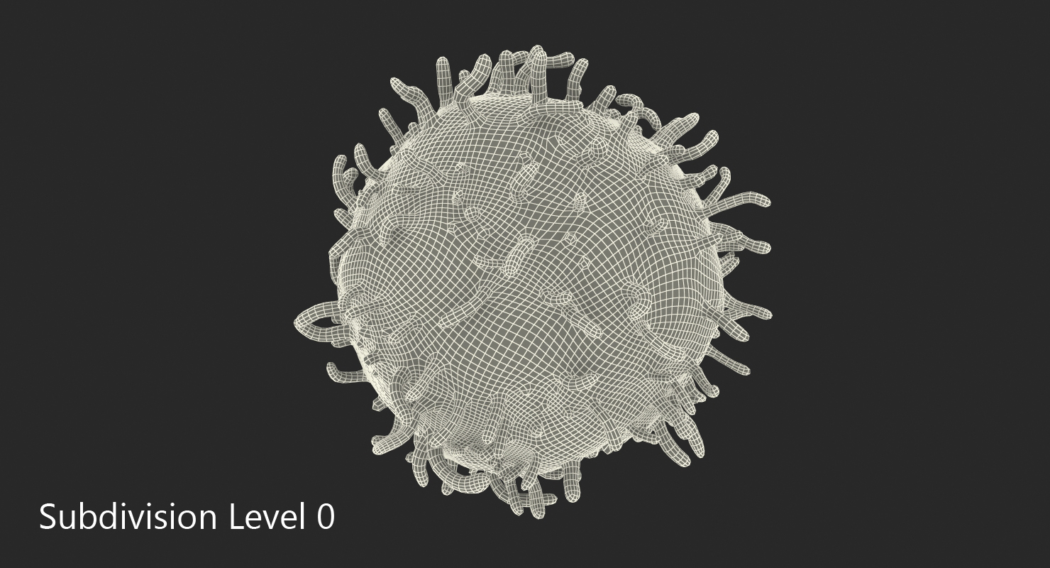 3D White Blood Cell