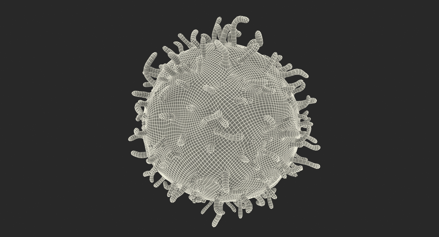 3D White Blood Cell