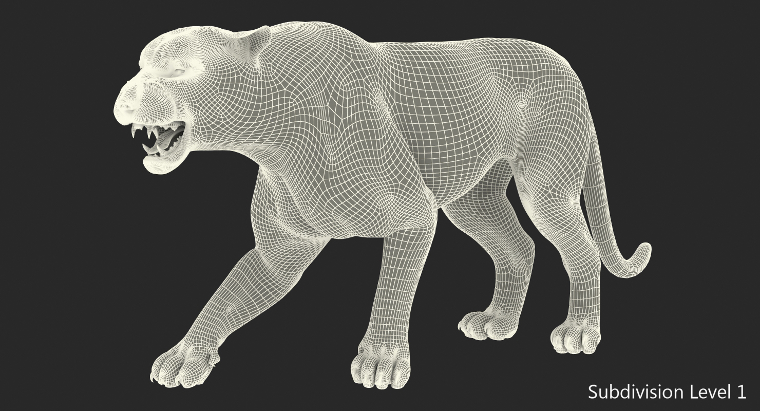 3D model Tiger Roar