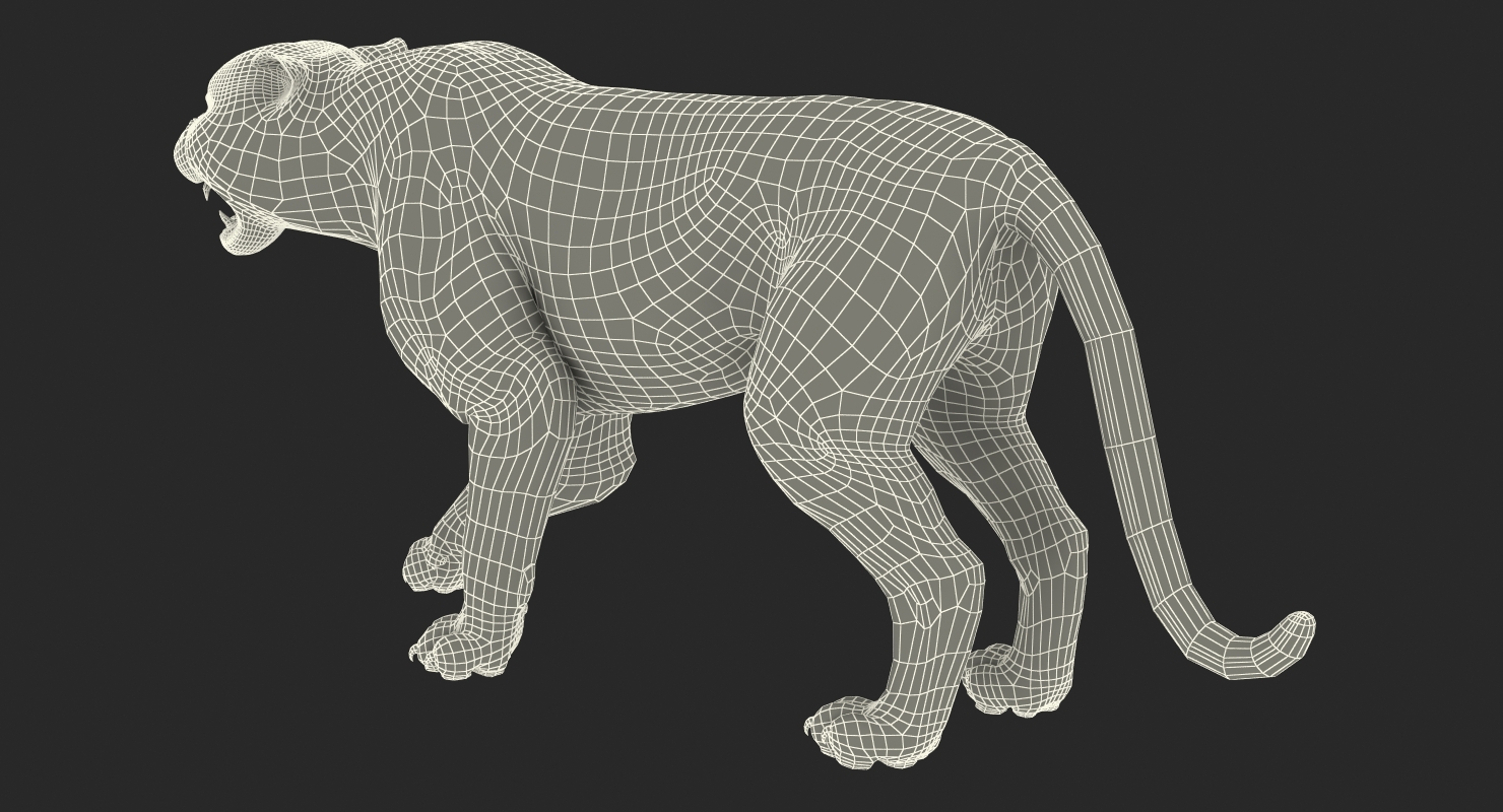 3D model Tiger Roar