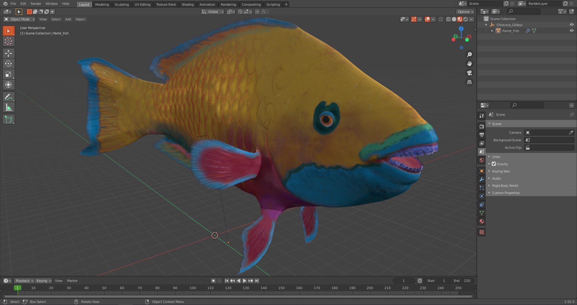 3D Chlorurus Gibbus