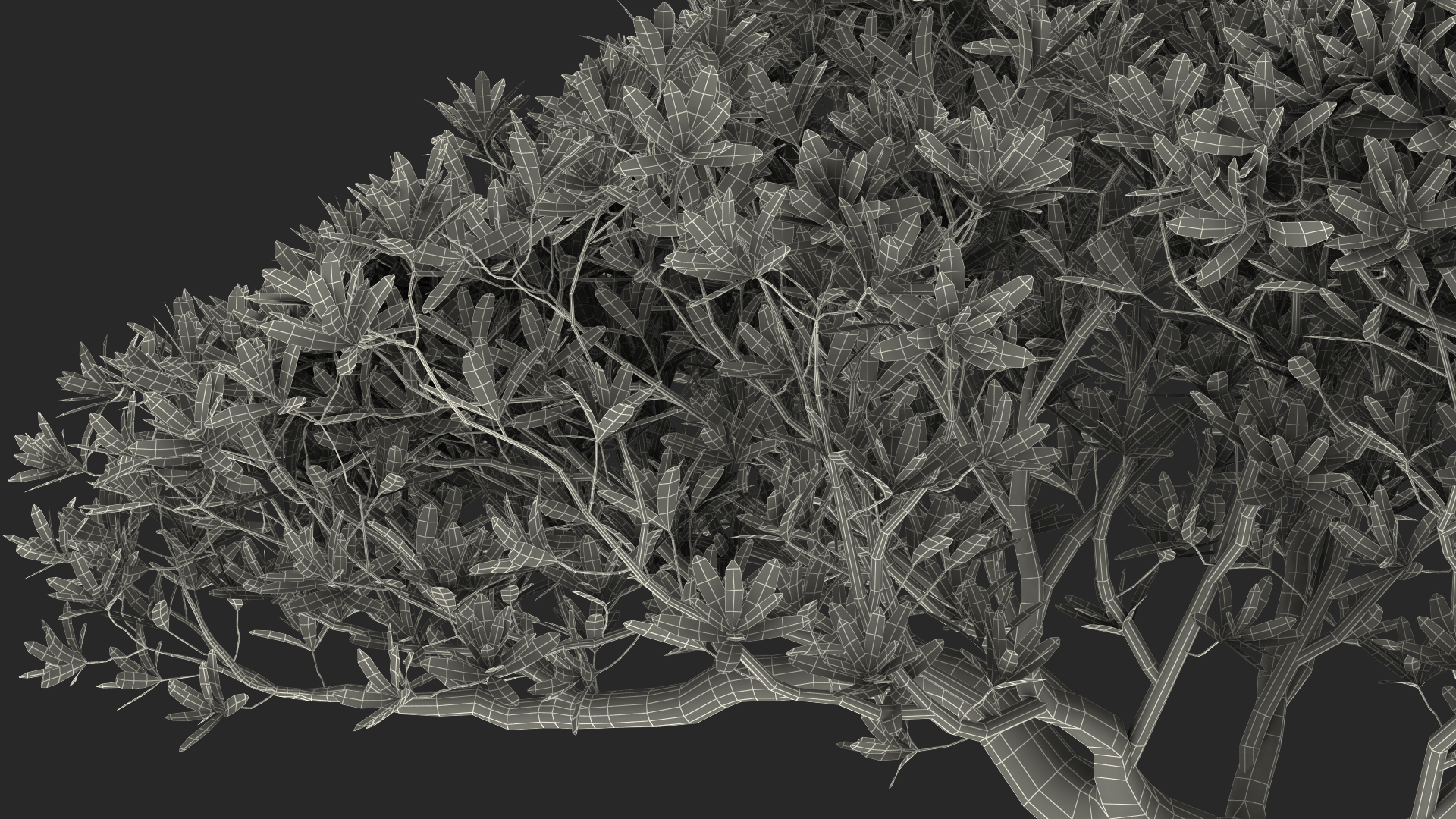 3D Miniature Bonsai Tree